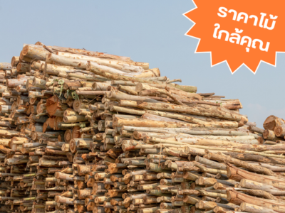 ราคาไม้ใกล้คุณ