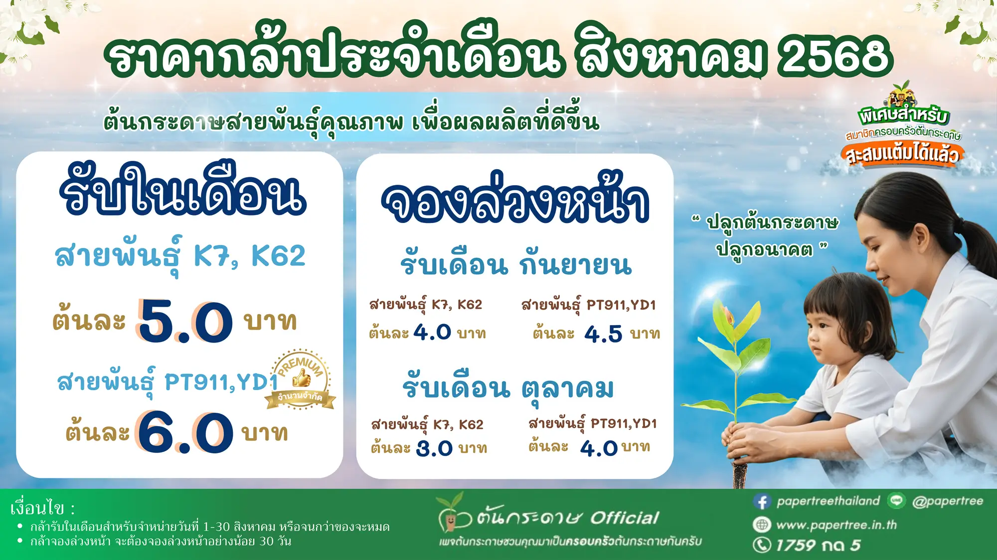 ราคาต้นกล้ายูคา