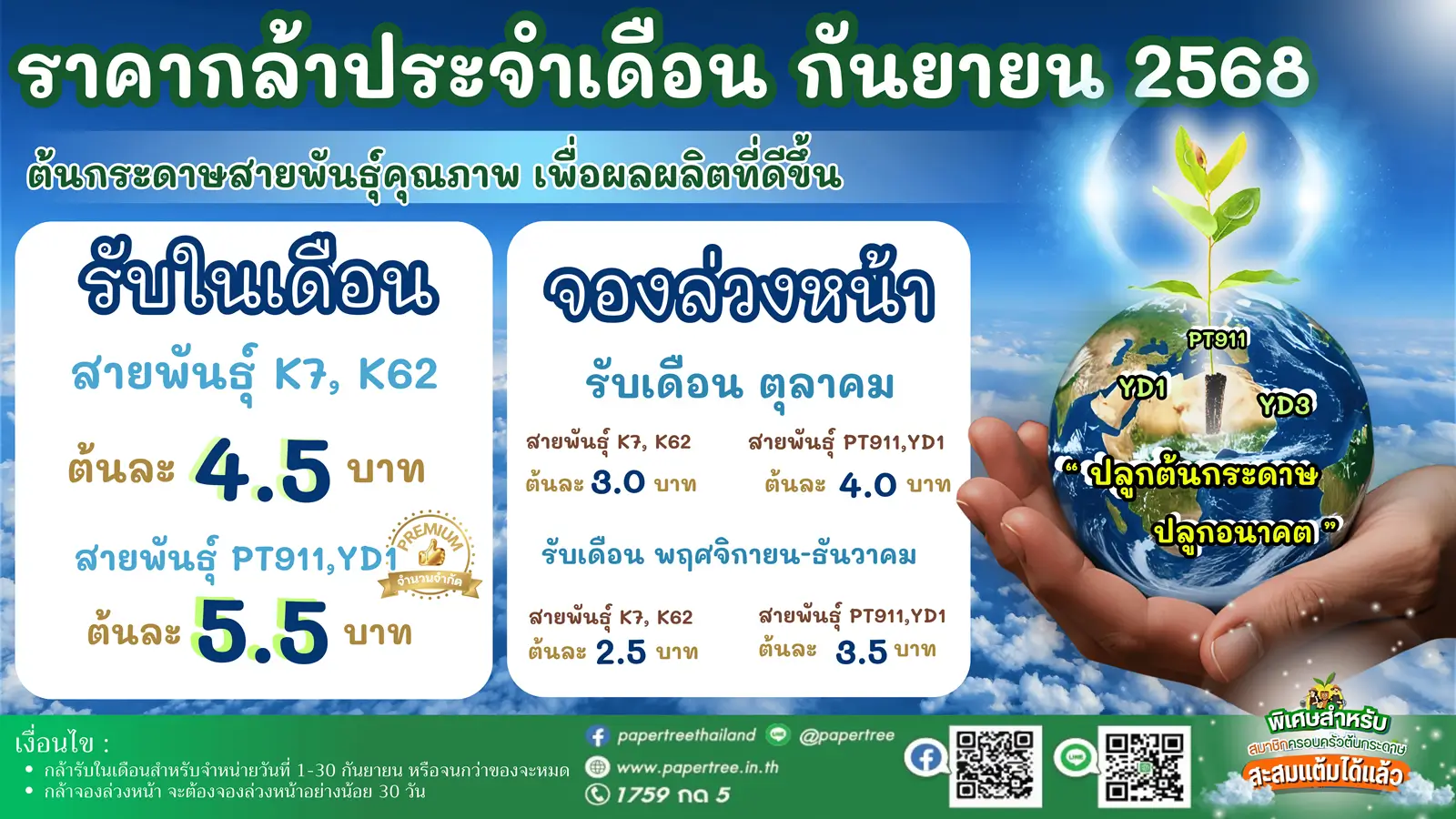 ราคาต้นกล้ายูคา